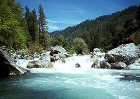 Lower Hayfork Creek CA