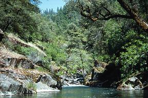 Camp Creek CA
