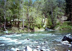 Lower Hayfork Creek CA