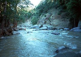 Mill Creek near Los Molinos CA