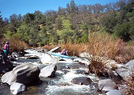 Putah Creek near Middletown CA