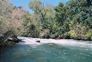 Putah Creek near Winters CA