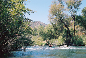Putah Creek near Winters CA