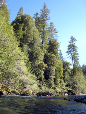 Redwood Creek near Orick CA