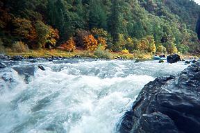 Rogue River between Galice and Agness OR