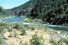 Rogue River near Grants Pass OR