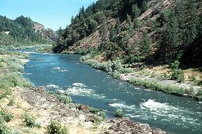 Rogue River near Grants Pass OR