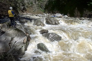 San Lorenzo River near Santa Cruz CA