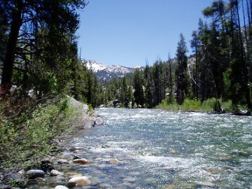South Fork San Joaqin River near John Muir trail CA