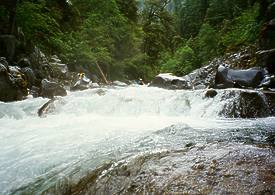 Wooley Creek in Marble Mountain wilderness