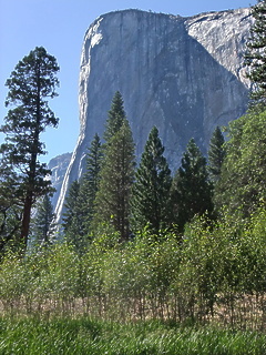 Yosemite Merced CA